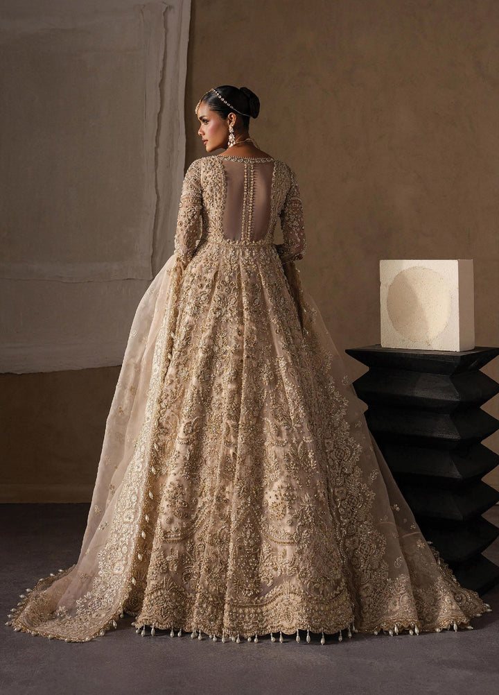 The Brides Edit by Afrozeh Unstitched Embroidered Organza 3 Piece Suit AF26UBE D-01 Catarine - Wedding Collection
