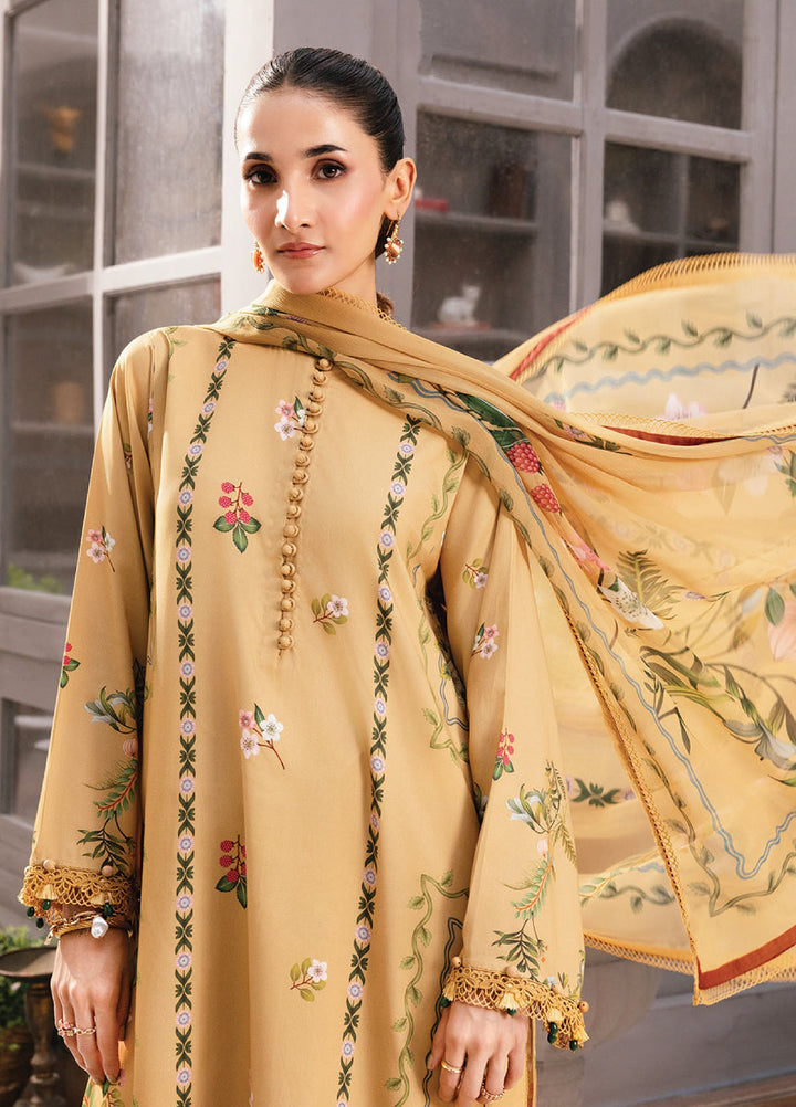 M Basics By Maria B Unstitched Digital Printed Linen 3 Piece MB25UW 1105-B - Winter Collection