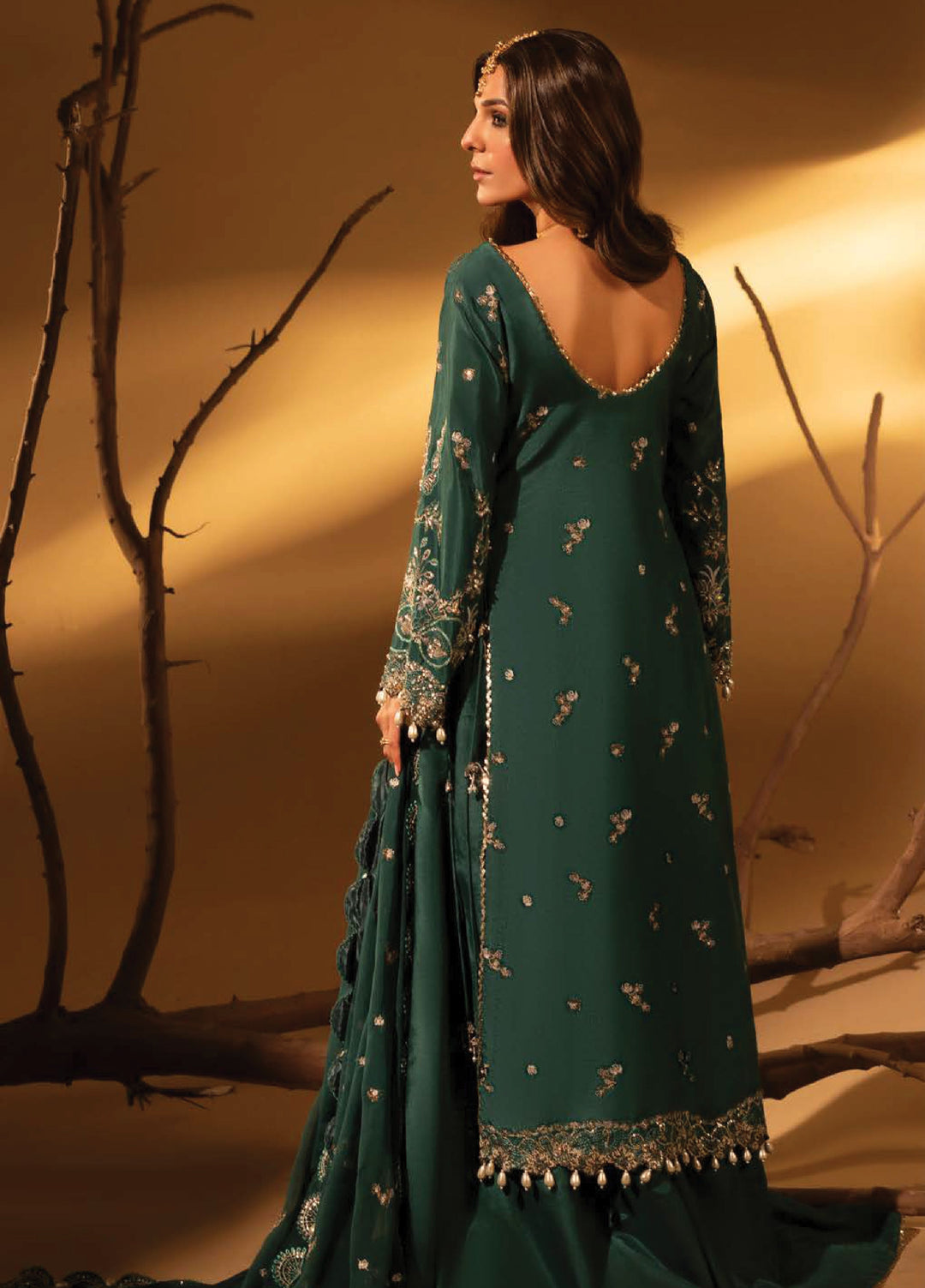 Aylin Unstitched Raw Silk Embroidered Suits 3 Piece AYL25US GREEN SLATE - Festive Collection
