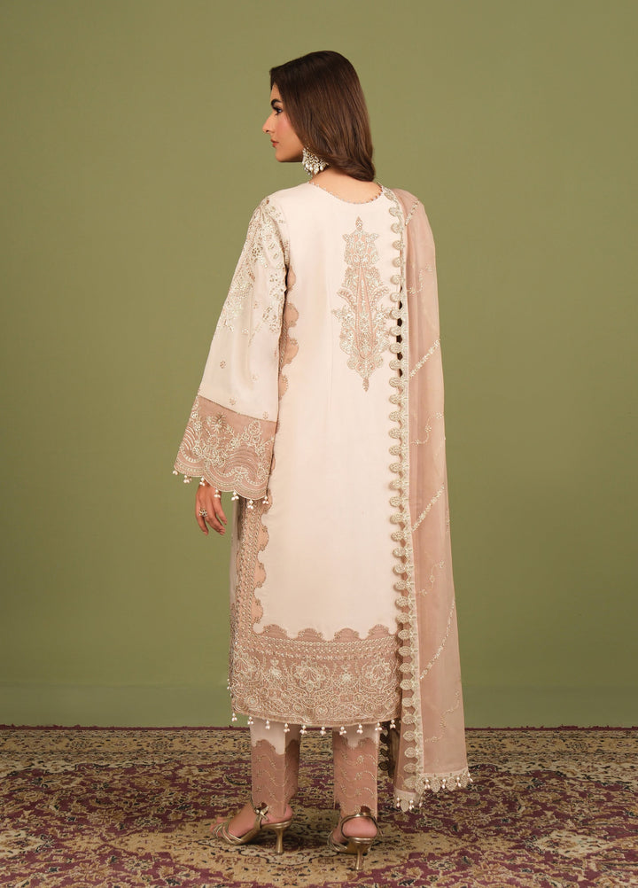Alizeh Luxe Unstitched Raw Silk Embroidered 3 Piece Suit AFB26UL D-02 Castor - Winter Collection