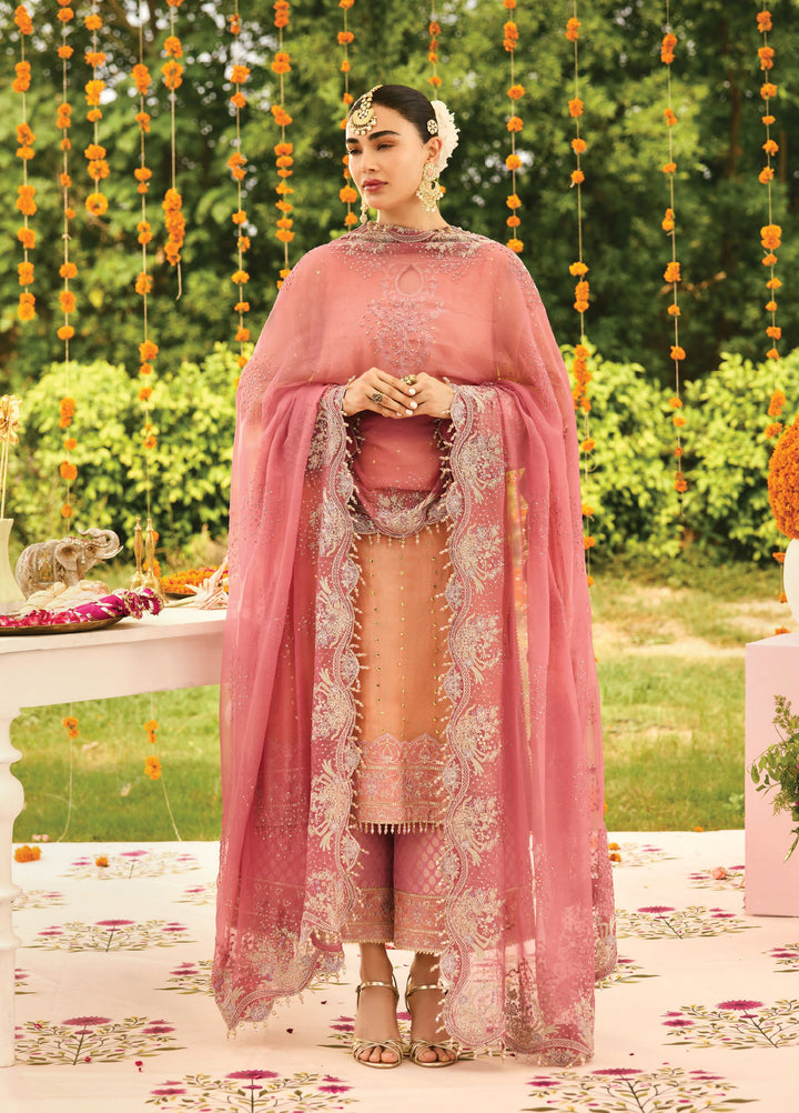 Shehnai by Alizeh Fashion Unstitched Embroidered Zari Net Suits 3 Piece AFB25SF Sitara - Festive Collection