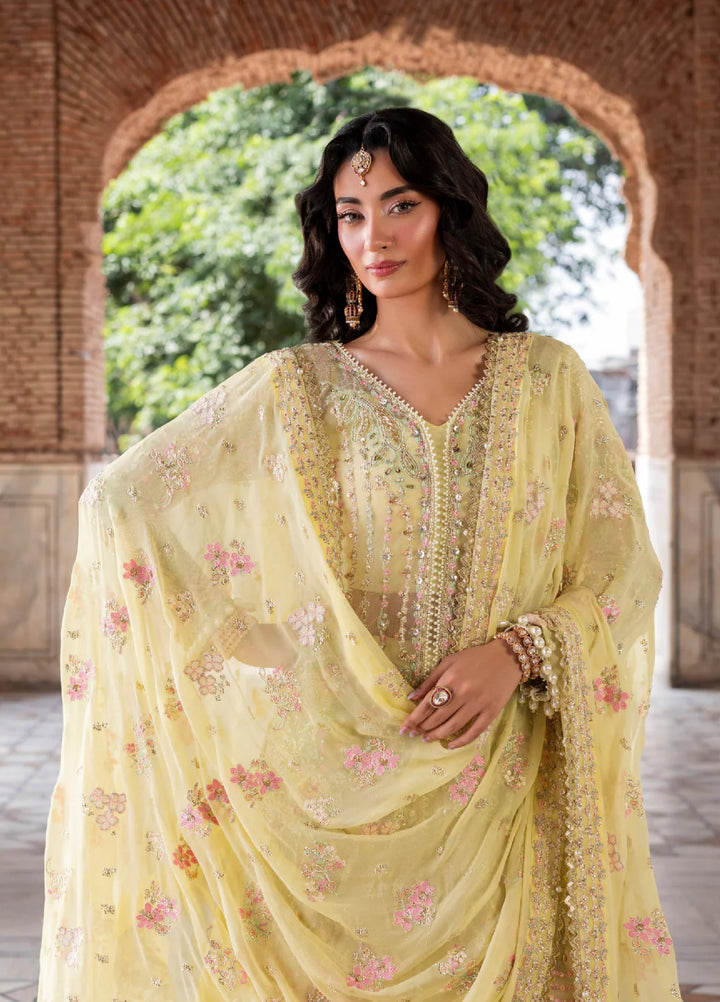 Ember by Aylin Unstitched Organza Embroidered Suits 3 Piece AYL25EF D1-Lumena - Festive Collection