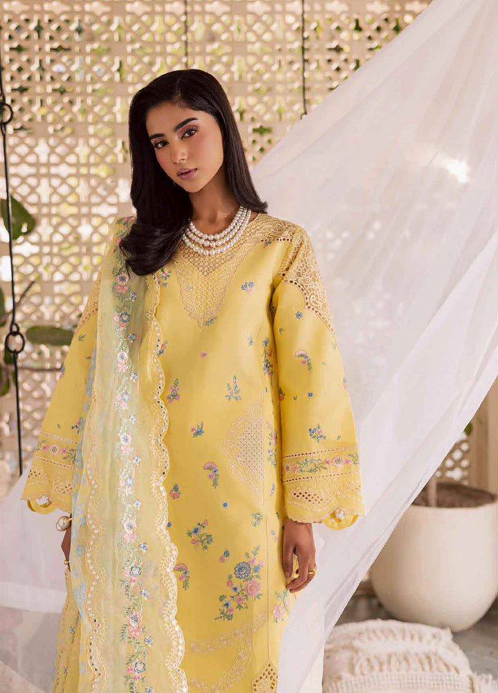 Selene by RajBari Unstitched Embroidered Lawn 3 Piece Suit RB26USL Ayzel - Festive Collection