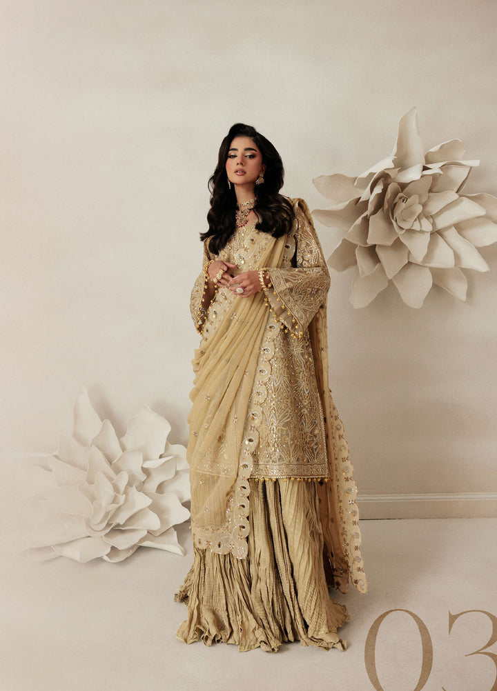Aik Shaam by AIK Atelier Unstitched Net Embroidered 3 Piece Suit AIK26US D-03 - Wedding Collection