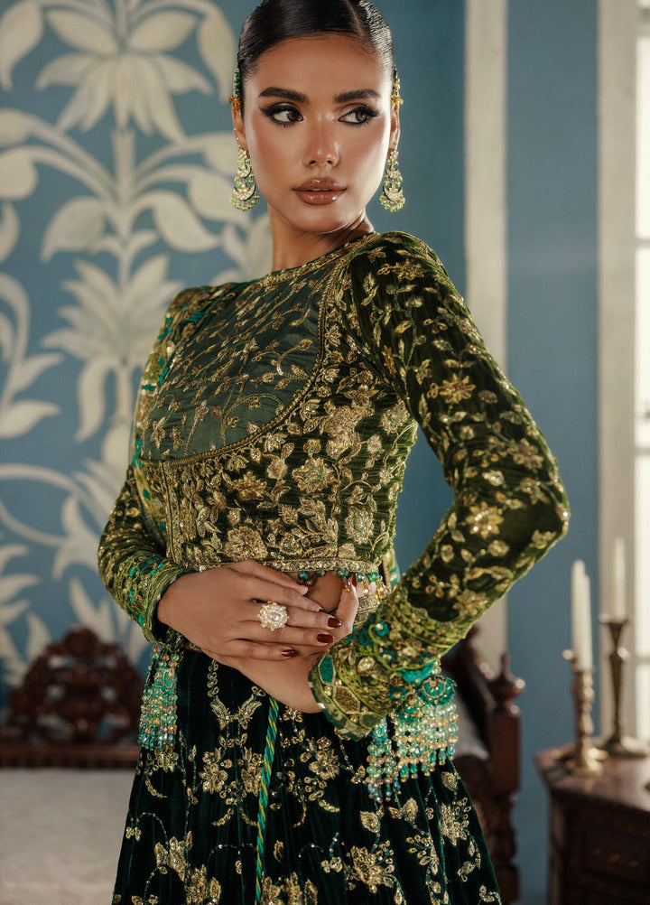 AIK Udaipur Velvet Unstitched Luxury Embroidered 3 Piece AIK25 D-02 - Formals Collection