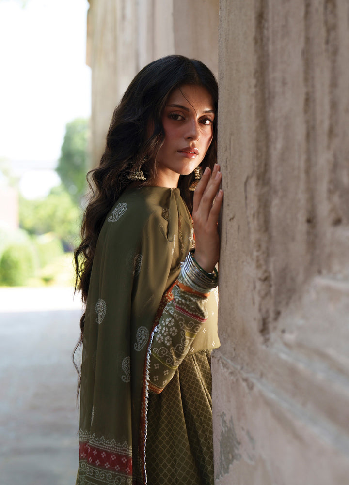 Mausam by Bin Ilyas Unstitched Printed Lawn 3 Piece Suit BI26UML 504B - Festive Collection