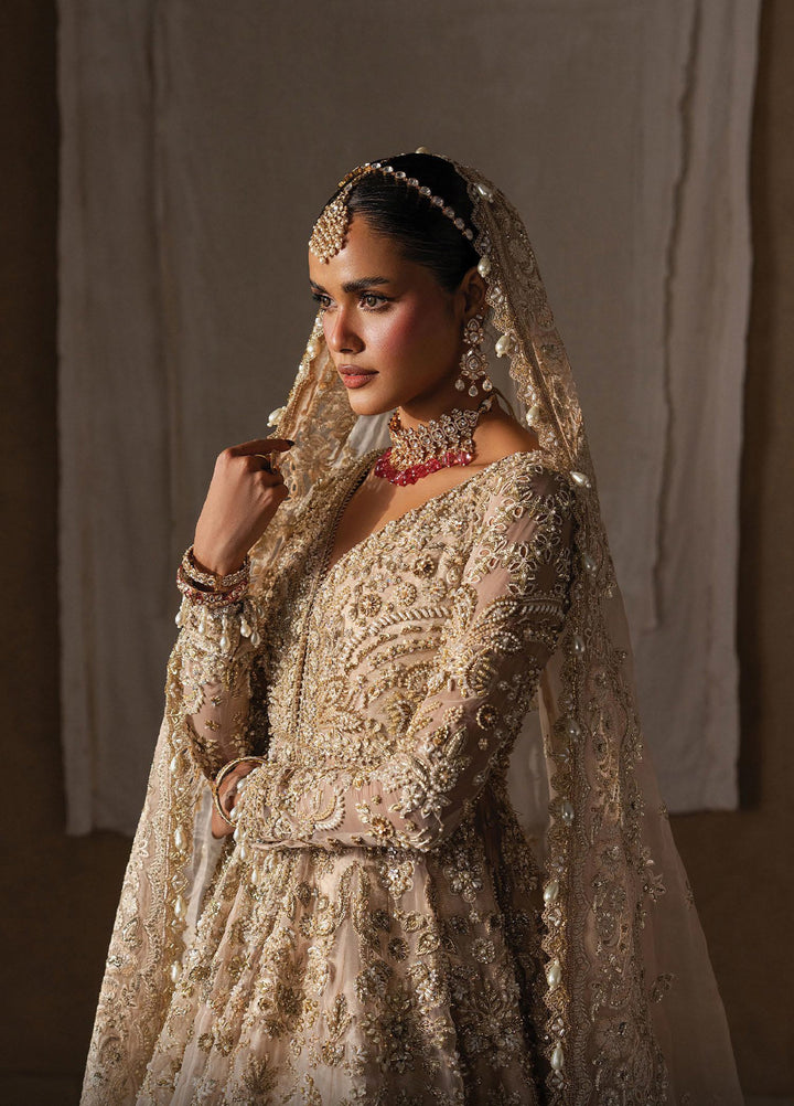 The Brides Edit by Afrozeh Unstitched Embroidered Organza 3 Piece Suit AF26UBE D-01 Catarine - Wedding Collection
