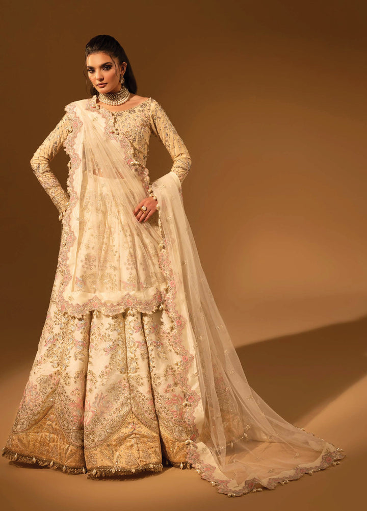 Aylin Unstitched Raw Silk Embroidered Suits 3 Piece AYL25US Raw Silk BEIGE - Festive Collection
