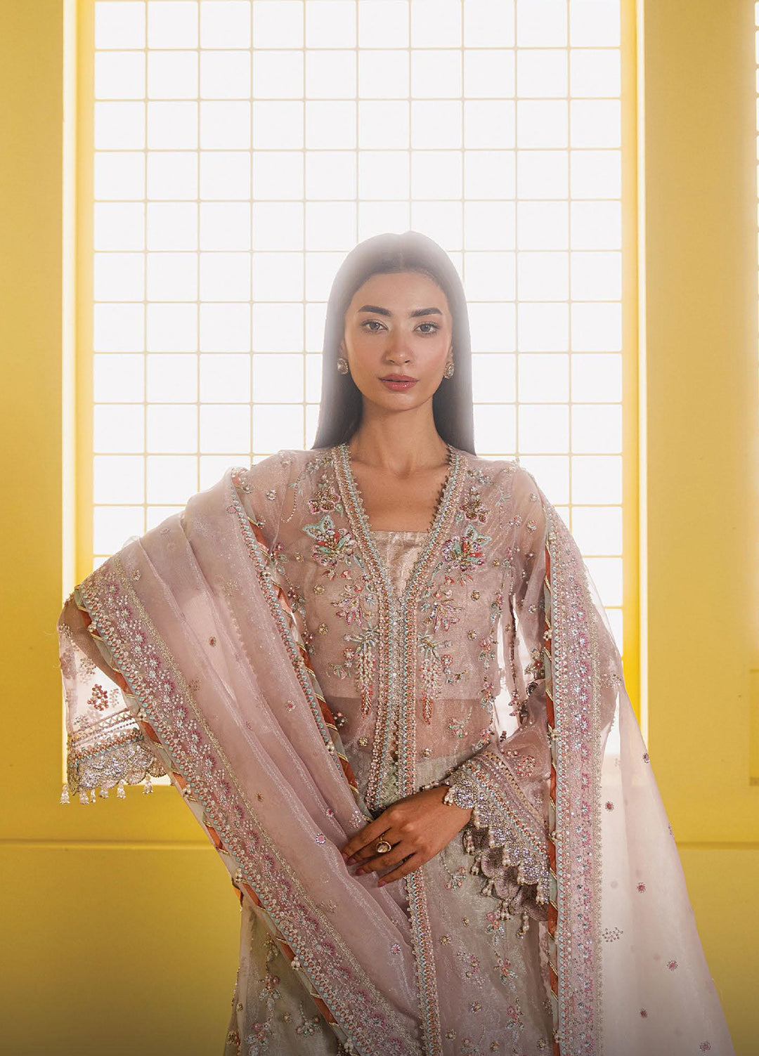 Solaris by Ayzel Unstitched Formals Organza Suits 3 Piece AAF25SW Solyn - Wedding Collection