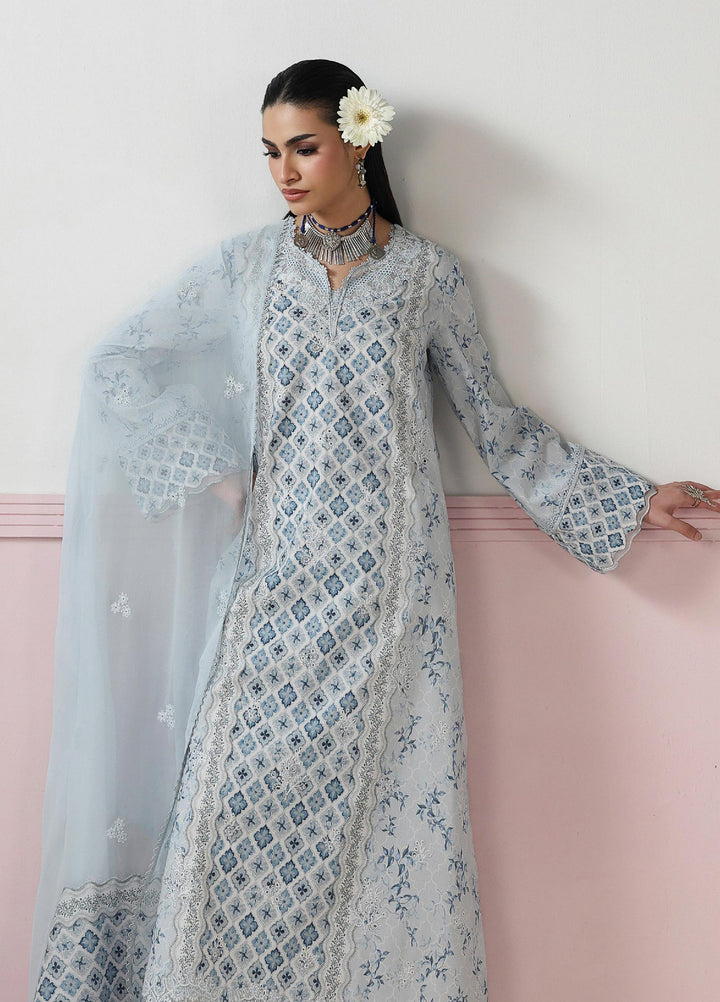 Q Prints by Qalamkar Unstitched Printed Lawn 3 Piece Suit QLK26UQL ALINE QQP-10 (B) - Summer Collection