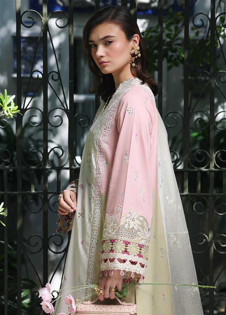 Q Line by Qalamkar Unstitched Chikankari Embroidered Lawn 3 Piece Suit QLK26UQL RP-02 AYLIN - Summer Collection