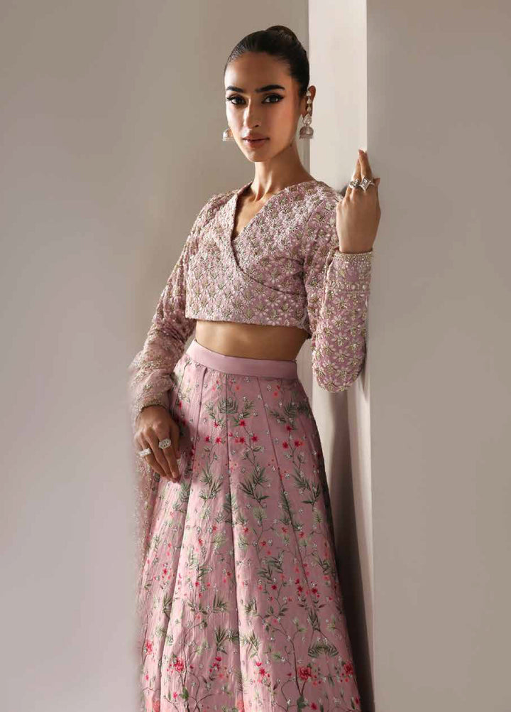 Serein Luxe by Emaan Adeel Unstitched Raw Silk Embroidered Suits 3 Piece EA25SL D-5 Petal Soft - Festive Collection