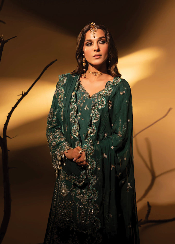Aylin Unstitched Raw Silk Embroidered Suits 3 Piece AYL25US GREEN SLATE - Festive Collection