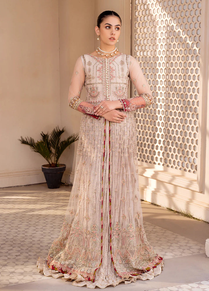 Xenia Formal Unstitched Luxury Net Suits 3 Piece XE25FL Shermina - Formals Collection