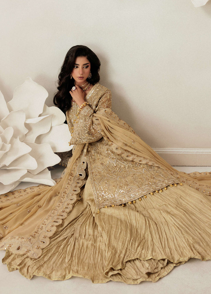 Aik Shaam by AIK Atelier Unstitched Net Embroidered 3 Piece Suit AIK26US D-03 - Wedding Collection