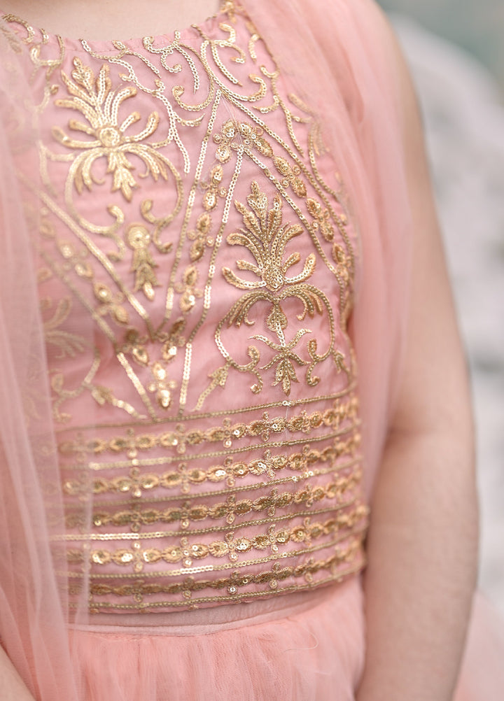 Andaz e Jahan by Qurratulain Saqib Pret kids Bareeze Net 3 Piece Embroidered Blossom Queen - Wedding Collection