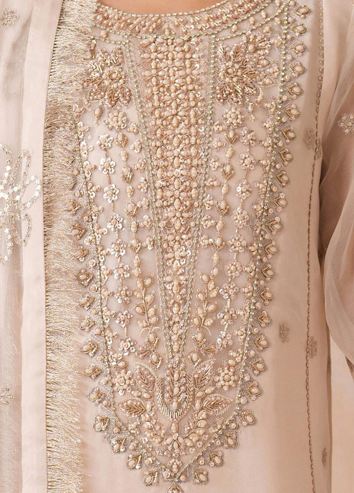 Aymal by Alizeh Fashion Unstitched Embroidered Chiffon 3 Piece Suit AFB26UA D-03 Mika - Festive Collection