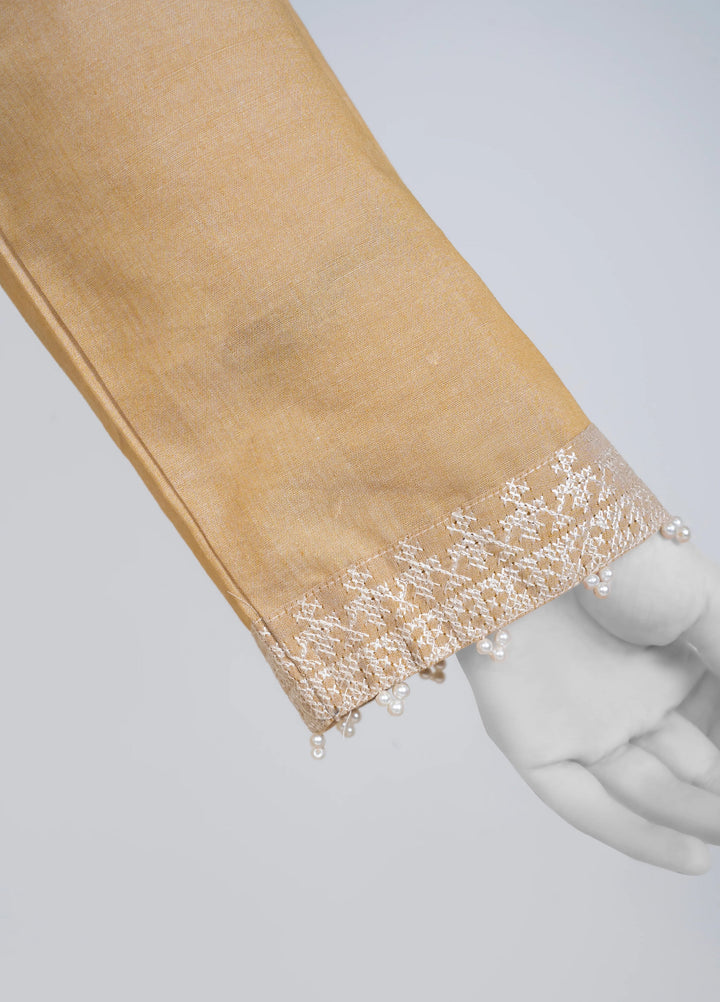 Ayla Studio Women Pret Chambray Solid Embroidered 2-Piece RTW Beige - Winter Collection