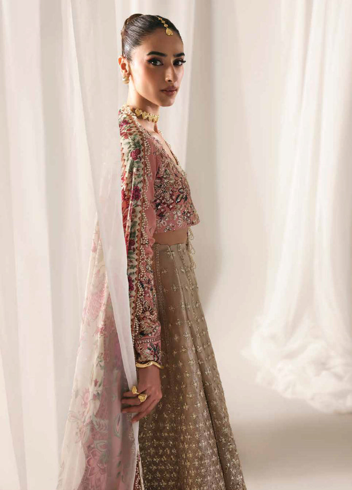 Serein Luxe by Emaan Adeel Unstitched Raw Silk Embroidered Suits 3 Piece EA25SL D-8 Soft Glimmer - Festive Collection