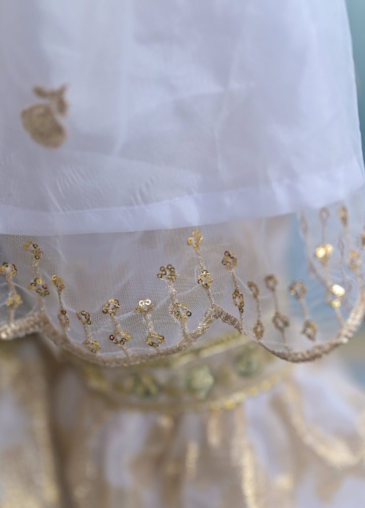 Andaz e Jahan by Qurratulain Saqib Pret kids Jamawar Organza 3 Piece Embroidered Rajasthani Guriya - Wedding Collection