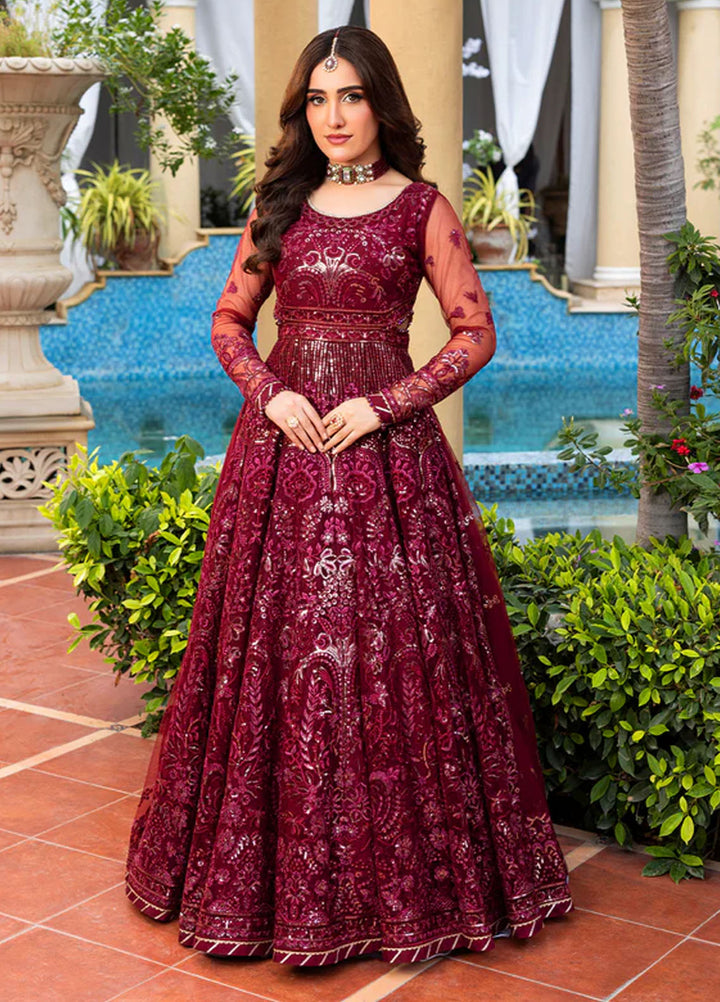 Haye Dil by Sahane Embroidered Net Suits Unstitched 4 Piece SNE25HD CT 29009 Crimson HeartBeat - Formals Collection
