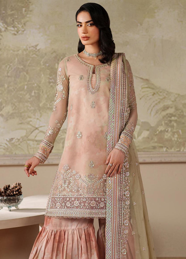 Zarif Embroidered Net Suits Unstitched 3 Piece ZR25UF ZRF-ZPE-04 Seriyah - Formals Collection