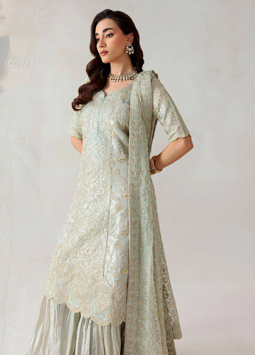 Aik Atelier Embroidered Tissue Suits Unstitched 3 Piece AIK25EF Vl1 D-03 - Formals Collection