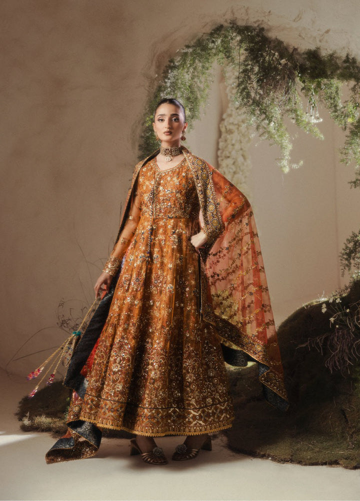 Aik Shaam by AIK Atelier Unstitched Embroidered Net 3 Piece Suit AIK26UAS C2606 - Wedding Collection