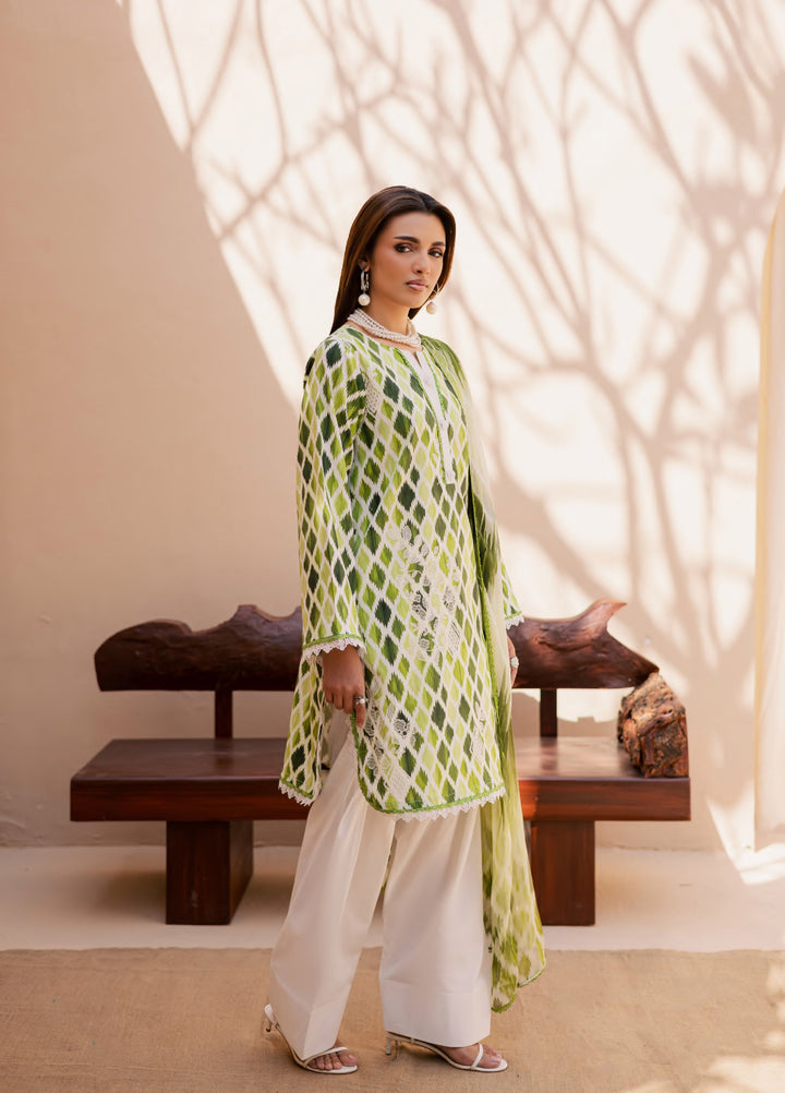 Savoy by Rashid Textiles Unstitched Embroidered Lawn 3 Piece Suit RT26ULS 3737 - Casual Collection