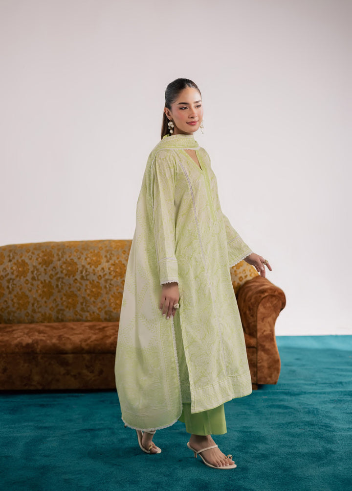 Print Diary by Rashid Textiles Unstitched Printed Lawn 3 Piece Suit RT26UPG 3772 - Casual Collection