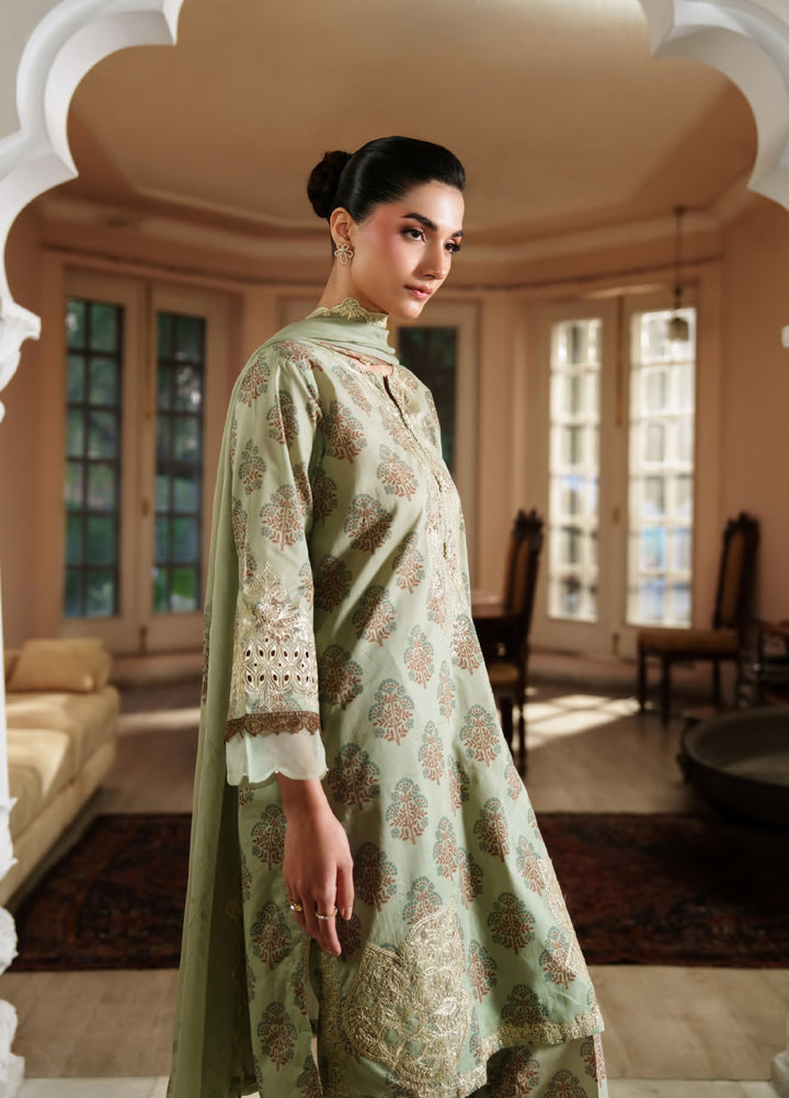 Bloom Enara by Rashid Textiles Unstitched Embroidered Lawn 3 Piece Suit RT26ULB 1009 - Casual Collection