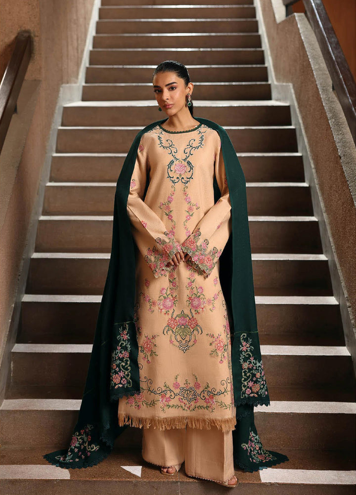 Rajbari Premium Unstitched Peach Winter Shawl Exclusive Embroidered Suits 3 Piece RB25PW D-7 - Winter Collection