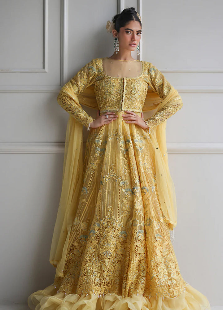 Threads And Motifs Women Pret Organza Embroidered Maxi 1 Piece 9271.2 - Formals Collection