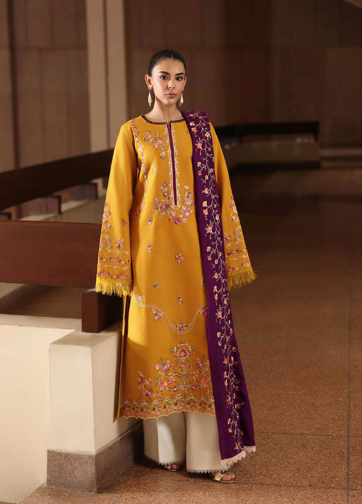 Rajbari Premium Unstitched Peach Winter Shawl Exclusive Embroidered Suits 3 Piece RB25PW D-3 - Winter Collection