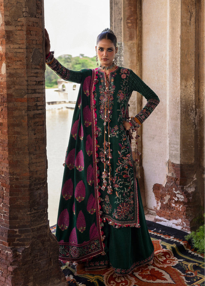 Hussain Rehar Unstitched Karandi Winter Embroidered Suits 3 Piece HRR25K Shayra - Winter Collection