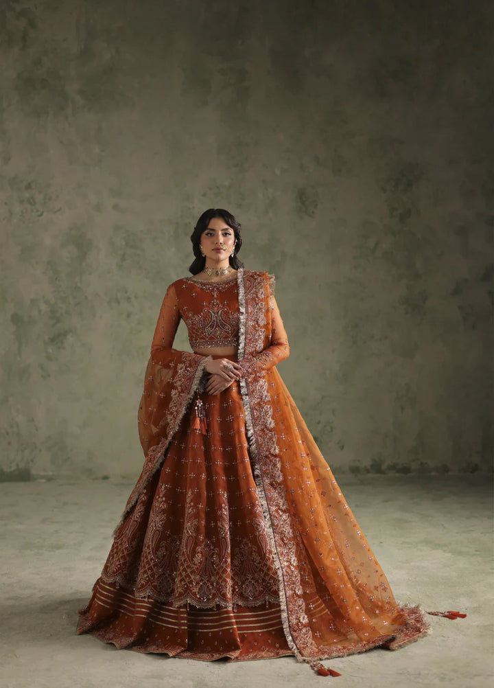 Esmeree by Imran Ramzan Embroidered Unstitched Organza 3 Piece Reine D Ambre - Formals Collection