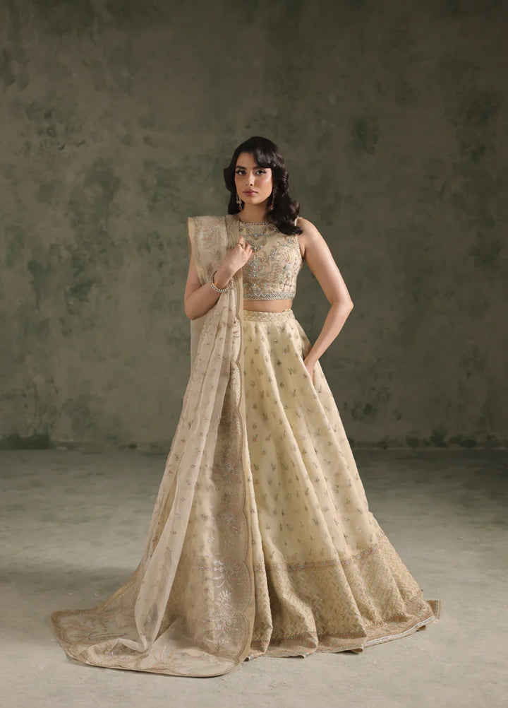 Esmeree by Imran Ramzan Embroidered Unstitched Organza 3 Piece Pavone D Ivoire - Formals Collection