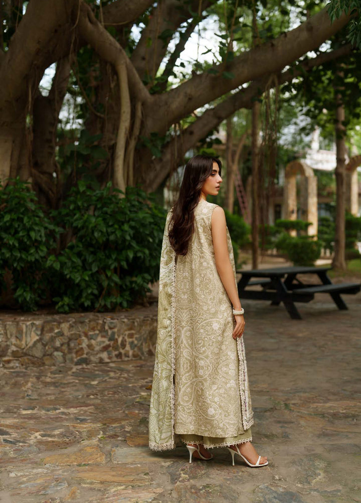 Meraki by Asifa And Nabeel Unstitched Viscose Embroidered Suits 3 Piece AN25MW ANM-09-Frozen Dew - Winter Collection