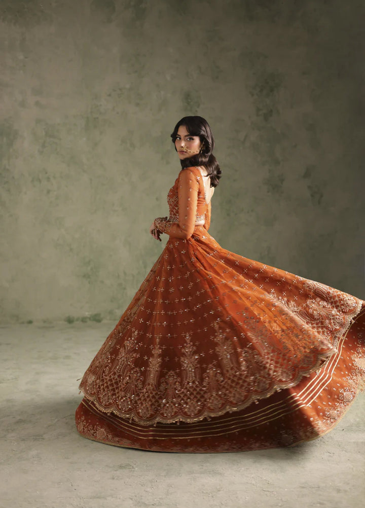 Esmeree by Imran Ramzan Embroidered Unstitched Organza 3 Piece Reine D Ambre - Formals Collection