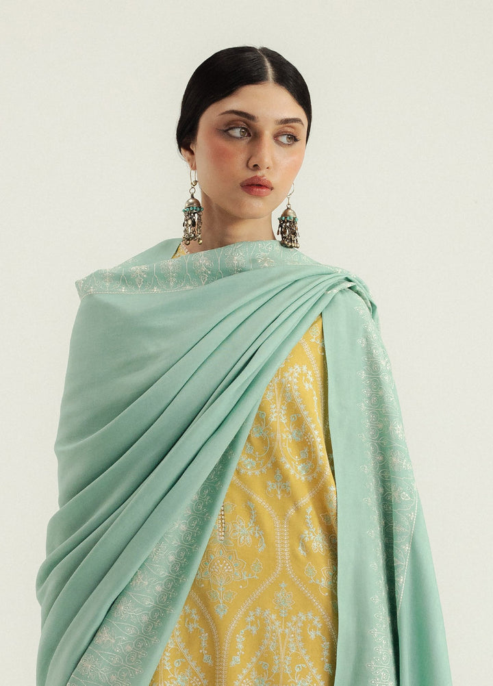 Zara Shahjahan Unstitched Winter Marina Embroidered Suits 3 Piece CZS25WC D1-Zarvaan - Winter Collection