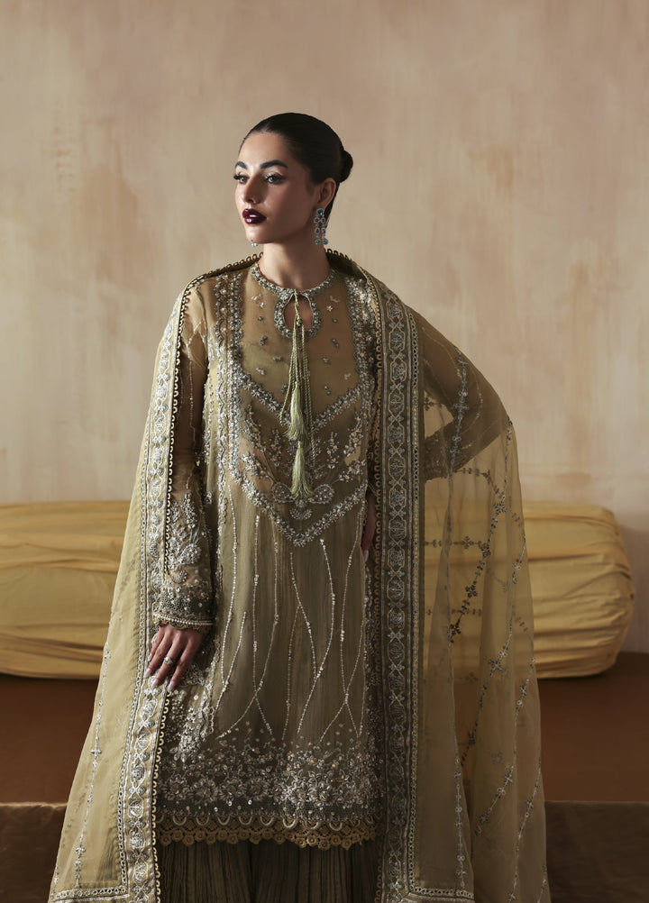 Jahanara by Zarposh Embroidered Organza Suits Unstitched 3 Piece ZP25JF Zarqash - Festive Collection