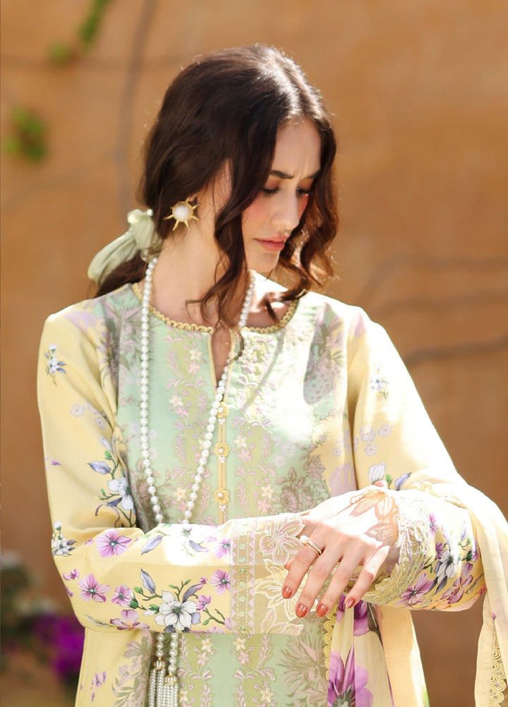 Rang Rasiya Lifestyle Lawn Unstitched Embroidered 3 Piece Suit RR25ULS HAZEL - Summer Collection