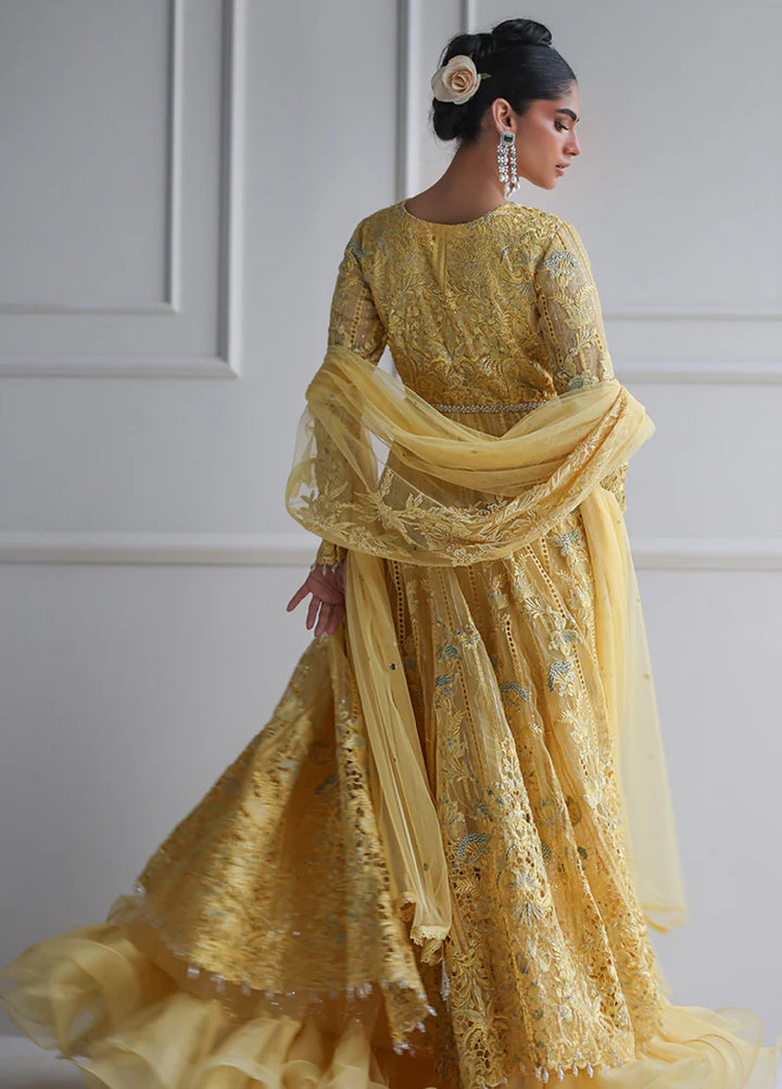 Threads And Motifs Women Pret Organza Embroidered Maxi 1 Piece 9271.2 - Formals Collection