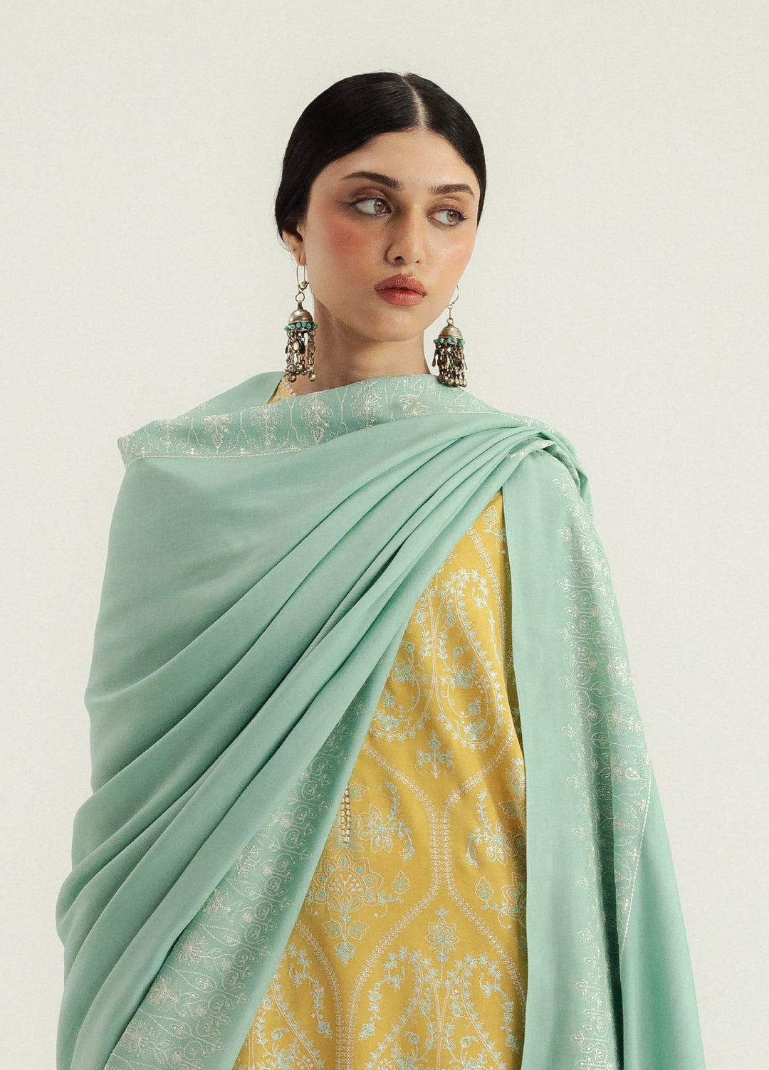 Zara Shahjahan Unstitched Winter Marina Embroidered Suits 3 Piece CZS25WC D1-Zarvaan - Winter Collection