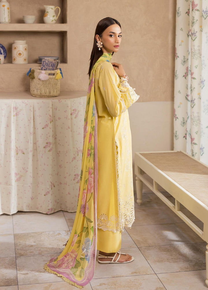 Nissa by Rajbari Unstitched Chikankari Embroidered Lawn 3 Piece Suit RB26UNCL D-3 - Summer Collection