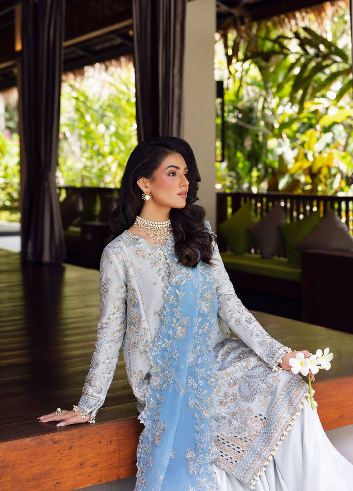 Saira Rizwan Unstitched Tissue Embroidered Suits 3 Piece SR25UF SRF25-06 Soraya - Festive Collection