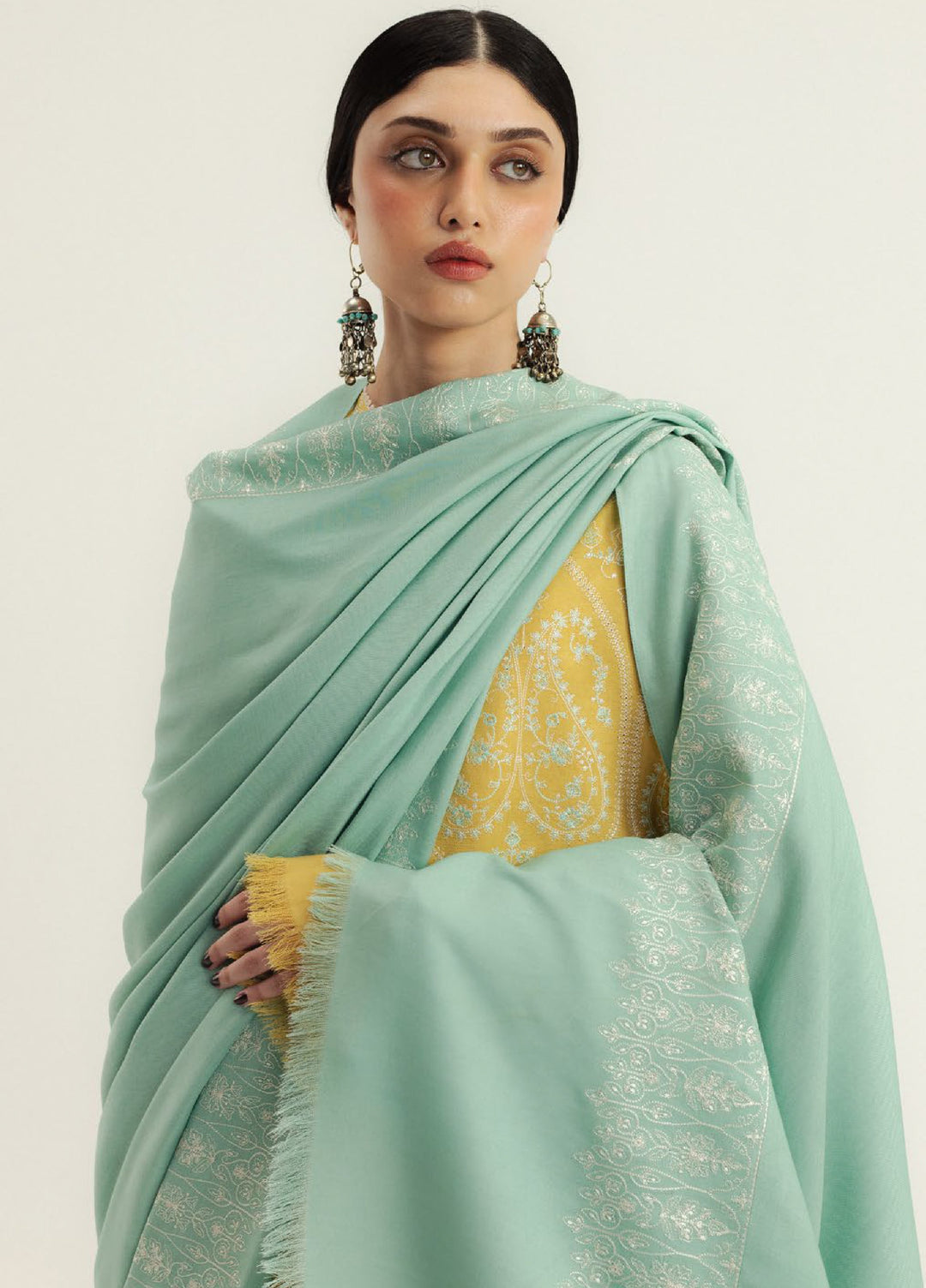 Zara Shahjahan Unstitched Winter Marina Embroidered Suits 3 Piece CZS25WC D1-Zarvaan - Winter Collection