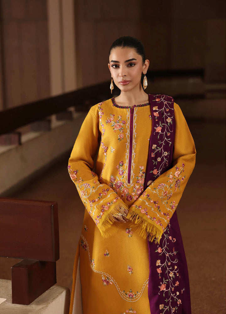 Rajbari Premium Unstitched Peach Winter Shawl Exclusive Embroidered Suits 3 Piece RB25PW D-3 - Winter Collection