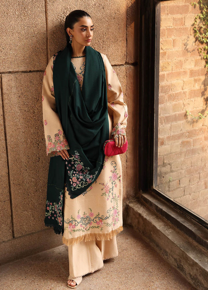 Rajbari Premium Unstitched Peach Winter Shawl Exclusive Embroidered Suits 3 Piece RB25PW D-7 - Winter Collection