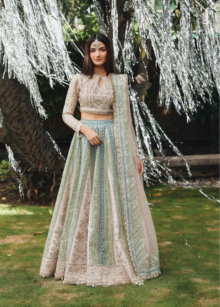 Dastangoi by Afrozeh Unstitched Formal Embroidered Organza 3 Piece Suits  AF25DF D-1 Petal Hour - Formal Collection